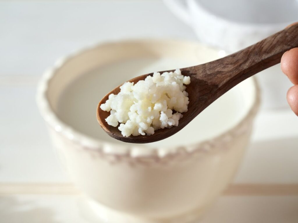 kefir de leche casero