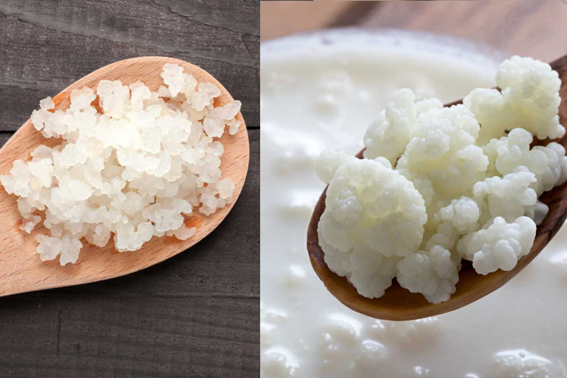 tipos de kefir